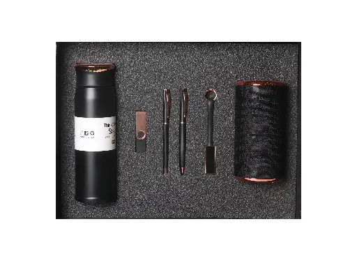 [111] ست مدیرتی (فلاسک-فلش - 2خودکار- جاکلیدی-اسپیکر)111